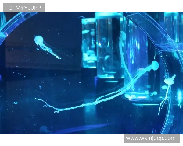 名古屋鲸八与东京FC激战在即谁将赢得这场精彩对决